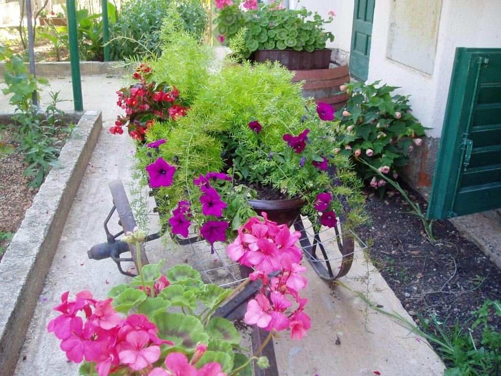 Apartments Nada Vodice Luaran gambar